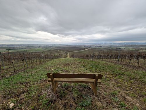 Ausblick aus der Weinlage Vendersheimer Sonnenenberg