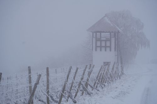Weinbergsturm bei Jugenheim im Schnee