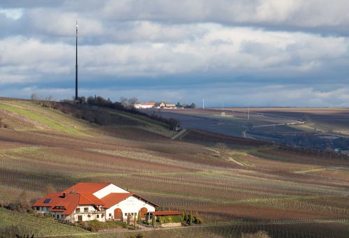 Ausblick über das Weingut Diehl-Blees auf die Weinlagen Jugeheimer Hasensprung und Stadecker Tempelchen