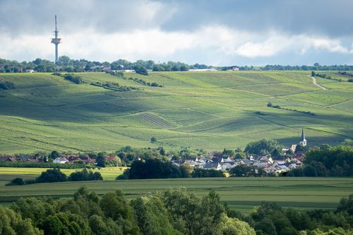 Blick auf Stadecken-Elsheim, Essenheim und den Fernmeldeturm von Ober-Olm