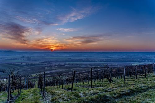 Sonnenaufgang vom Bleichkopf bei Jugenheim