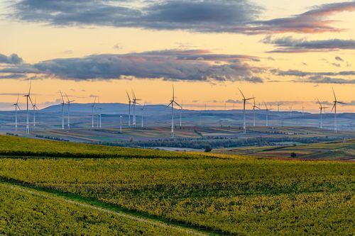 Blick zum Donnersberg von der Schutzhütte Am Gigser bei Wolfsheim im Abendrot