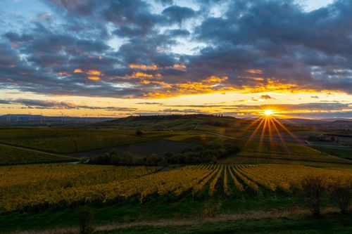 Sonnenuntergang über dem Wißberg von der Schutzhütte Am Gigser bei Wolfsheim
