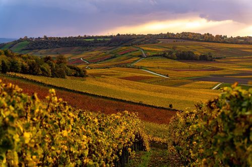 Blick auf den Wißberg von der Schutzhütte Am Gigser bei Wolfsheim