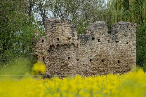 Elftausend-Mägde-Turm im Selztal bei Stadecken-Elsheim