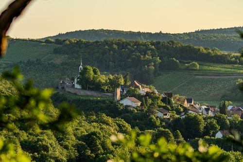Ausblick vom Höllberg bei Wöllstein auf Neu-Bamberg im Abendlicht