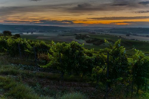Morgendämmerung auf dem Bleichkopf bei Jugenheim