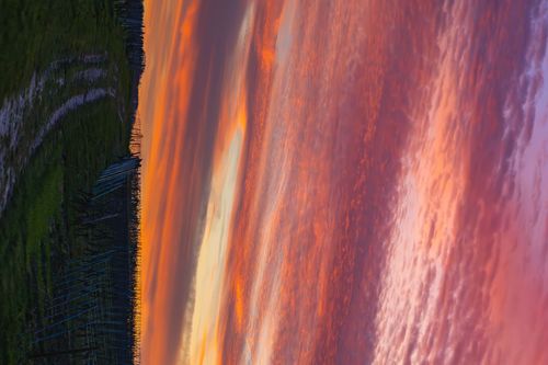 Abendhimmel über den Weinbergen des Jugenheimer Bleichkopfs