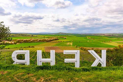 Ausblick auf den Petersberg und den Donnersberg aus der Weinlage Weinolsheimer Kehr