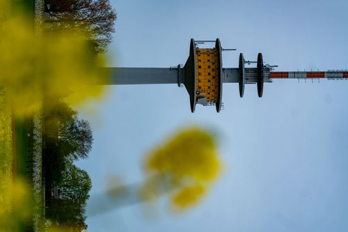 Fernmeldeturm zwischen Obstbaumwiesen und Rapsfeldern bei Ober-Olm