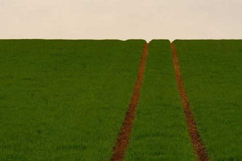 Traktorspuren in einem Feld bei Nieder-Olm