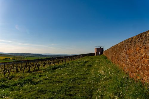 Weinbergsturm am Hinkelstein bei Wendelsheim