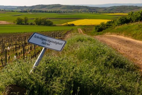 Blick über einen Feldweg zwischen Wendelsheims und Eckelsheim