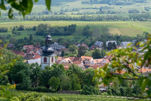 Ausblick auf Jugenheim vom Goldberg
