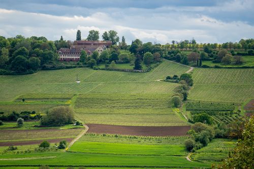 Blick auf Schloss Westerhaus aus dem Selztal bei Großwinternheim