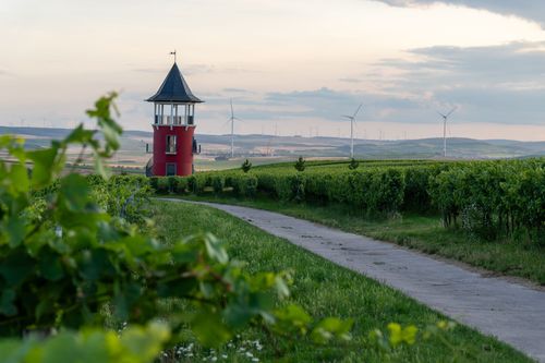 Burgunderturm in den Weinbergen bei Wörrstadt