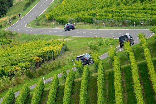 Rheinhessische Landstraße zwischen Wolfsheim und Gau-Weinheim